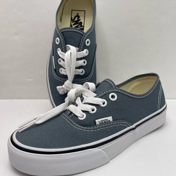 Vans Men’s Authentic Color Theory Stormy WeatherVN000EGARV2 Sneakers